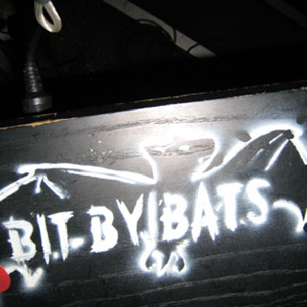 bits bats